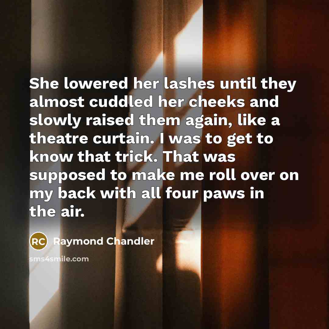 “She lowered her lashes until they almost cuddled her cheeks and slowly raised them again, like a theatre curtain. I was to get to know that trick. That was supposed to make me roll over on my back with all four paws in the air.” quote by Raymond Chandler
