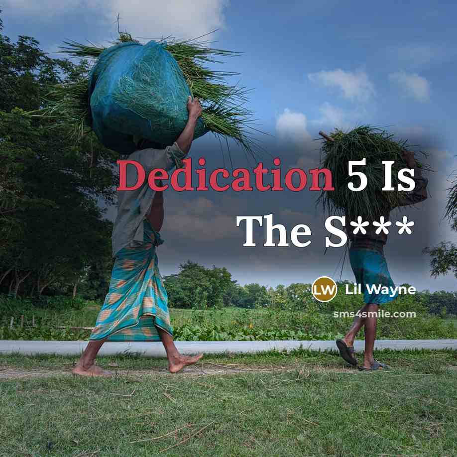 “Dedication 5 Is The S***” quote by Lil Wayne