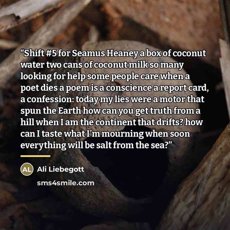 “Shift #5 for Seamus Heaney a box of coconut water two cans of coconut milk so many looking for help some people care when a poet dies a poem is a conscience a report card, a confession: today my lies were a motor that spun the Earth how can you get truth from a hill when I am the continent that…” quote by Ali Liebegott