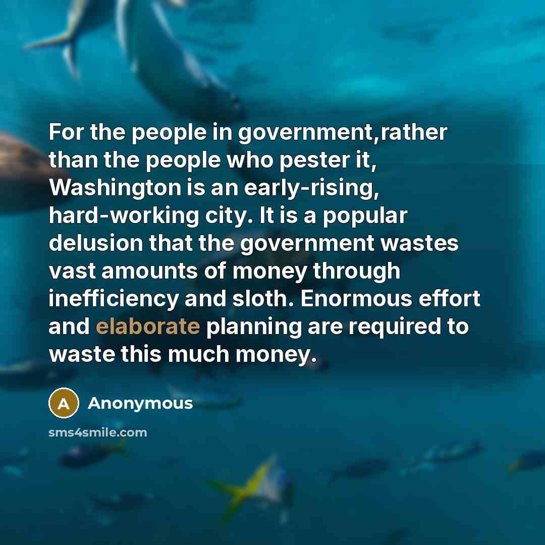 “For the people in government,rather than the people who pester it, Washington is an early-rising, hard-working city. It is a popular delusion that the government wastes vast amounts of money through inefficiency and sloth. Enormous effort and elaborate planning are required to waste this much money.” quote by Anonymous