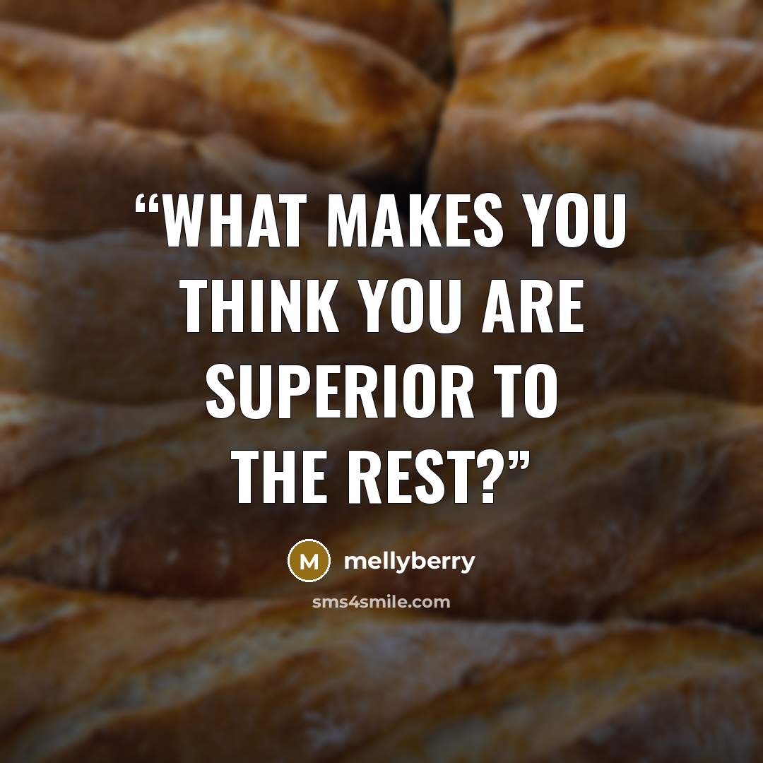 “What makes you think you are superior to the rest?” quote by mellyberry