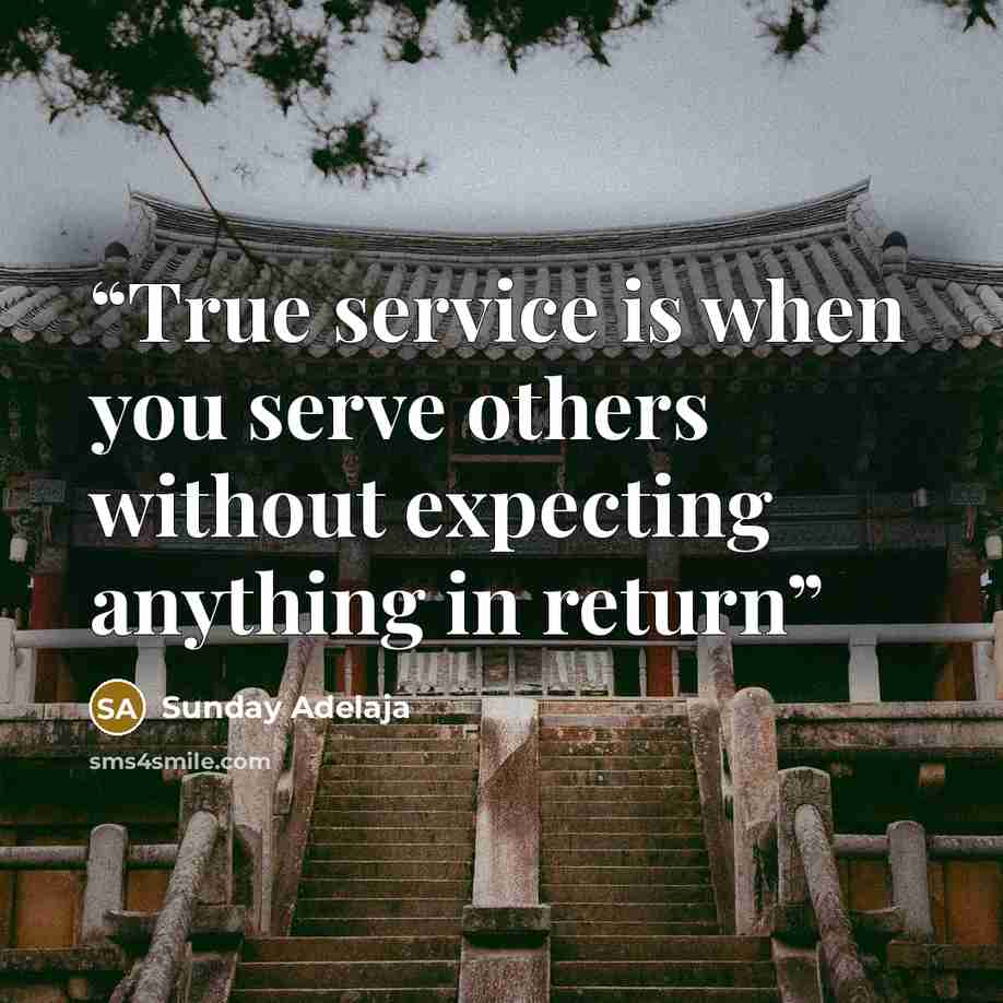 “True service is when you serve others without expecting anything in return” quote by Sunday Adelaja