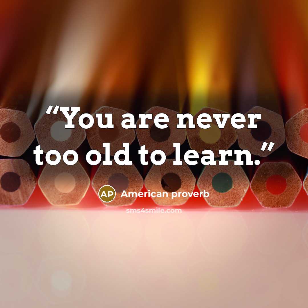 “You are never too old to learn.” quote by American proverb