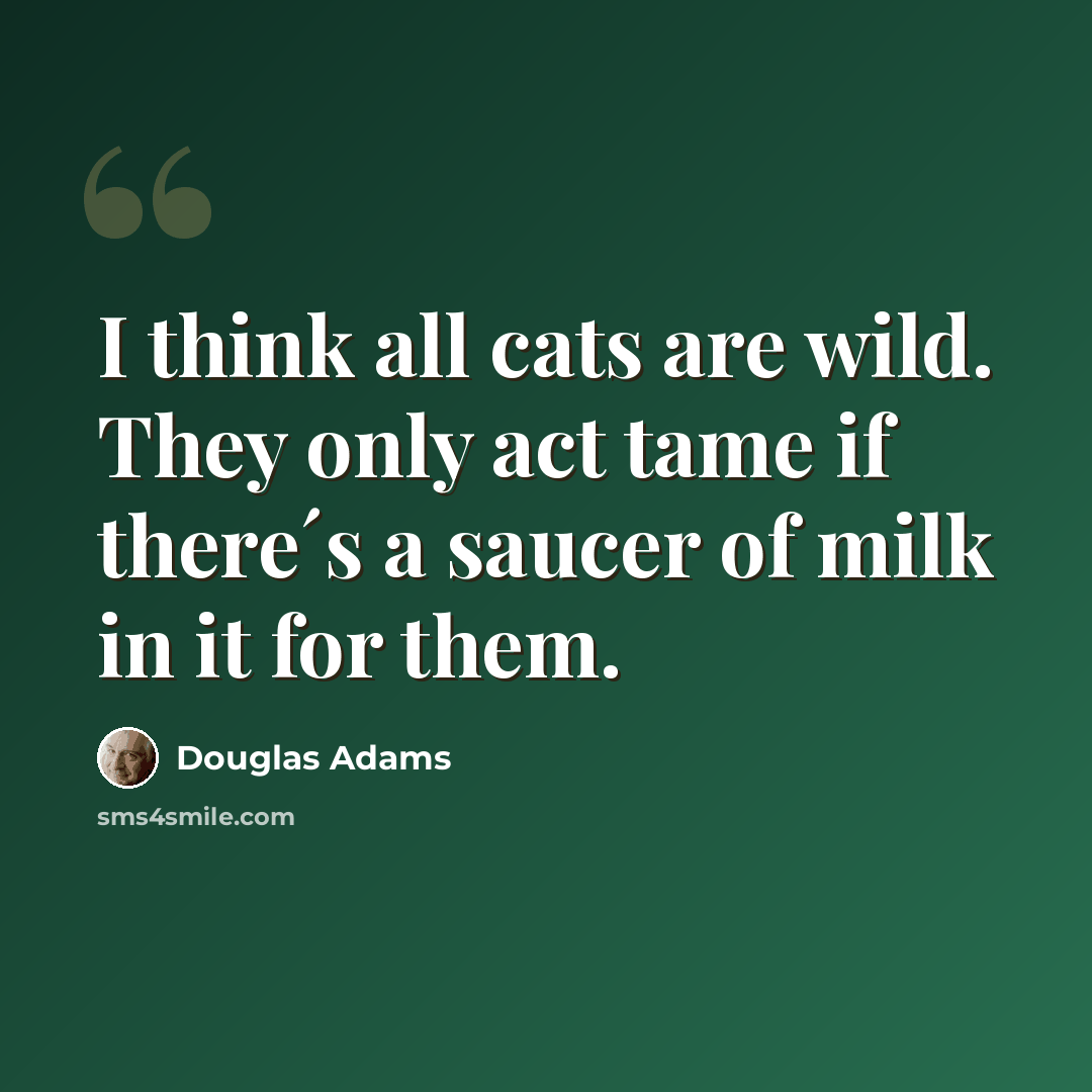 “I think all cats are wild. They only act tame if there´s a saucer of milk in it for them.” quote by Douglas Adams