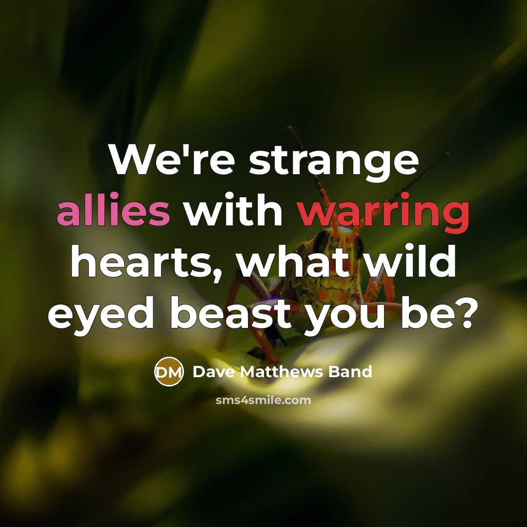 “We're strange allies with warring hearts, what wild eyed beast you be?” quote by Dave Matthews Band