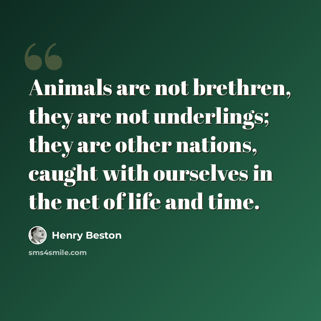 “Animals are not brethren, they are not underlings; they are other nations, caught with ourselves in the net of life and time.” quote by Henry Beston