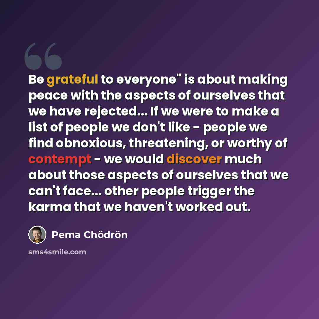 “Be grateful to everyone" is about making peace with the aspects of ourselves that we have rejected... If we were to make a list of people we don't like - people we find obnoxious, threatening, or worthy of contempt - we would discover much about those aspects of ourselves that we can't face…” quote by Pema Chodron