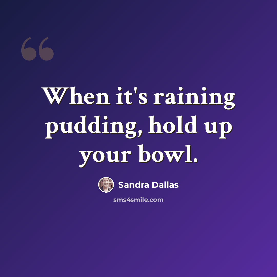“When it's raining pudding, hold up your bowl.” quote by Sandra Dallas
