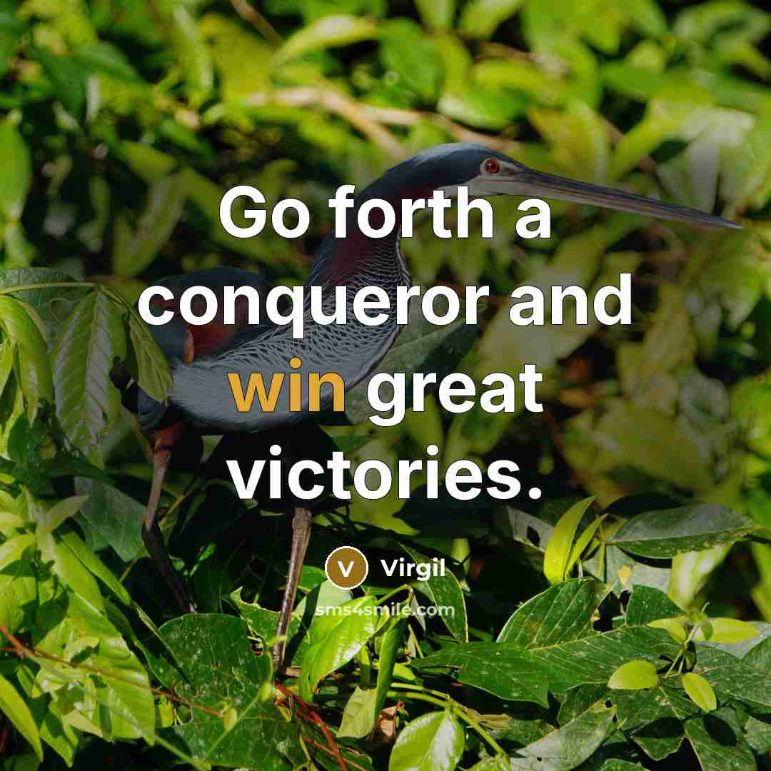“Go forth a conqueror and win great victories.” quote by Virgil