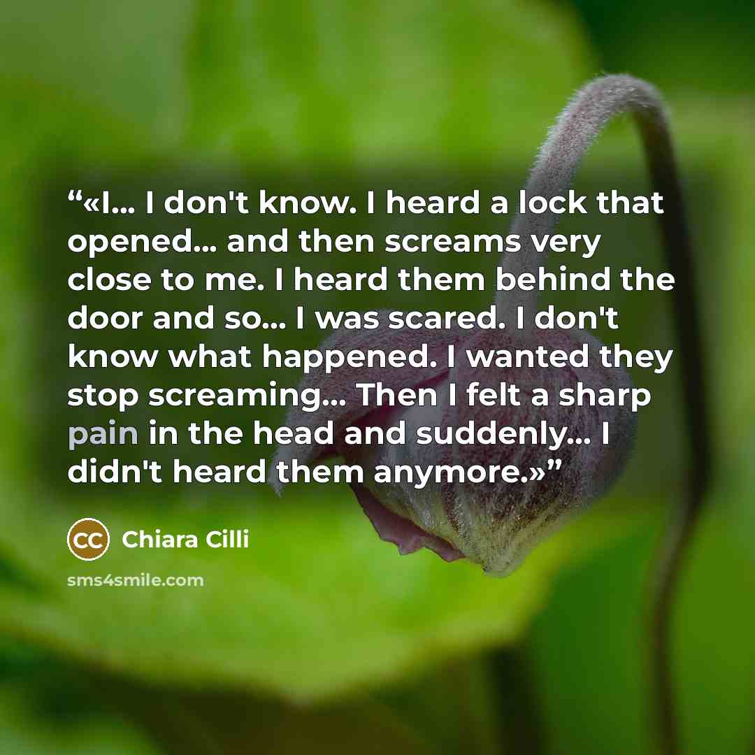 “I... I don't know. I heard a lock that opened... and then screams very close to me. I heard them behind the door and so... I was scared. I don't know what happened. I wanted they stop screaming... Then I felt a sharp pain in the head and suddenly... I didn't heard them anymore.” quote by Chiara Cilli