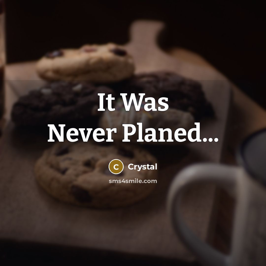 “It Was Never Planed...” quote by Crystal