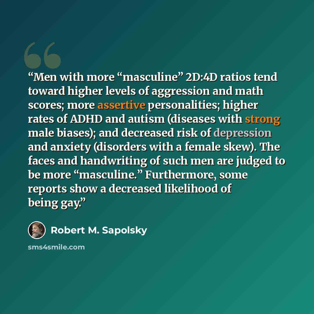 “Men with more “masculine” 2D:4D ratios tend toward higher levels of aggression and math scores; more assertive personalities; higher rates of ADHD and autism (diseases with strong male biases); and decreased risk of depression and anxiety (disorders with a female skew). The faces and handwriting…” quote by Robert M. Sapolsky
