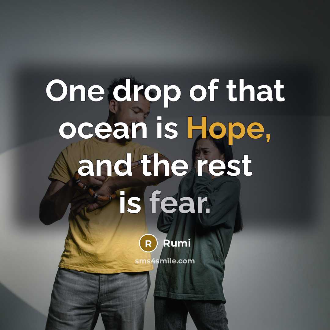 “One drop of that ocean is Hope, and the rest is fear.” quote by Rumi