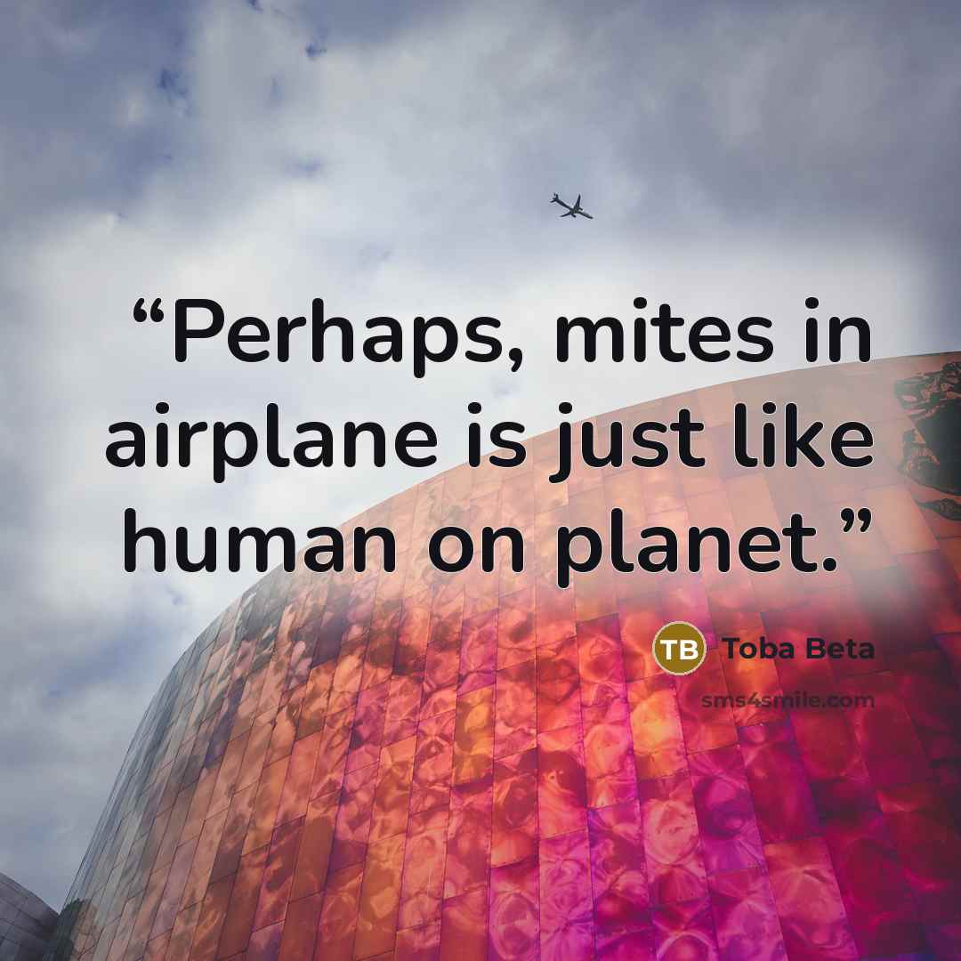 “Perhaps, mites in airplane is just like human on planet.” quote by Toba Beta