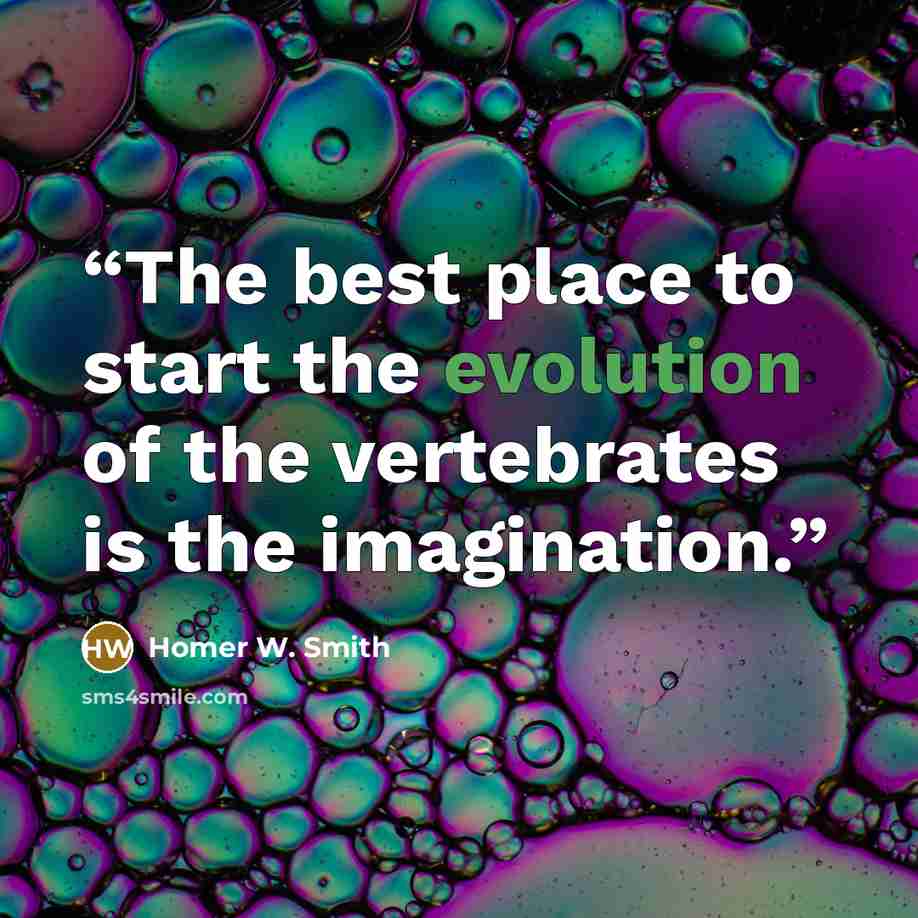 “The best place to start the evolution of the vertebrates is the imagination.” quote by Homer W. Smith
