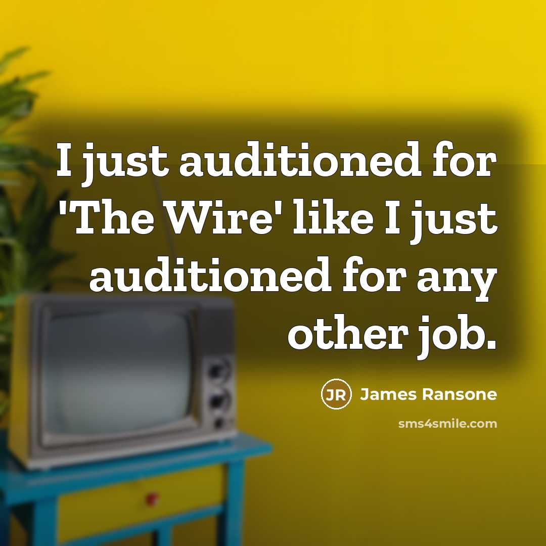 “I just auditioned for 'The Wire' like I just auditioned for any other job.” quote by James Ransone