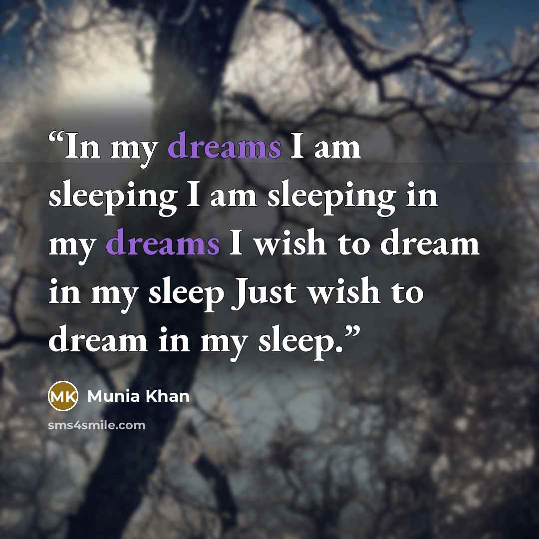 “In my dreams I am sleeping I am sleeping in my dreams I wish to dream in my sleep Just wish to dream in my sleep.” quote by Munia Khan