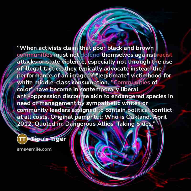 “When activists claim that poor black and brown communities must not defend themselves against racist attacks or state violence, especially not through the use of illegal tactics, they typically advocate instead the performance of an image of "legitimate" victimhood for white middle-class…” quote by Tipu's Tiger
