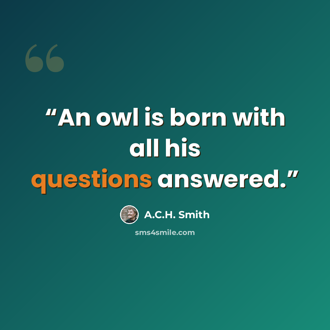 “An owl is born with all his questions answered.” quote by A.C.H. Smith
