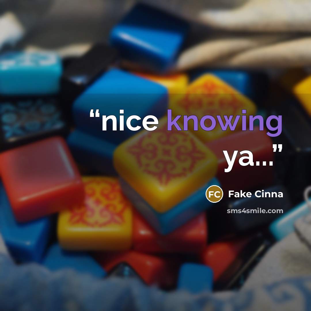 “nice knowing ya...” quote by Fake Cinna