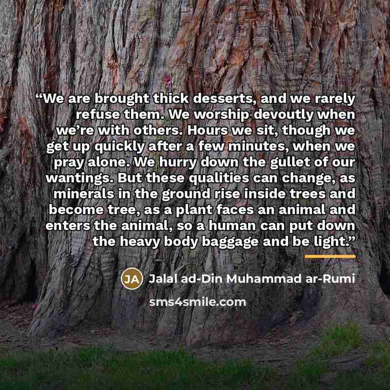 “We are brought thick desserts, and we rarely refuse them. We worship devoutly when we’re with others. Hours we sit, though we get up quickly after a few minutes, when we pray alone. We hurry down the gullet of our wantings. But these qualities can change, as minerals in the ground rise inside…” quote by Jalal ad-Din Muhammad ar-Rumi