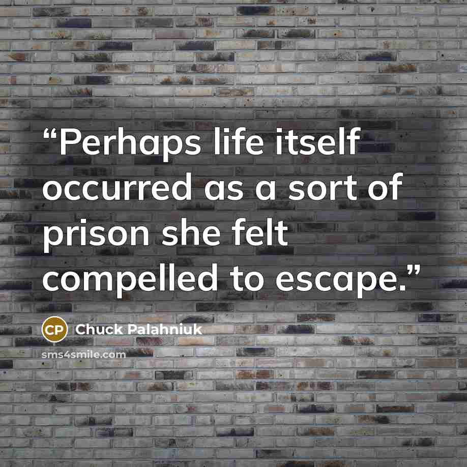 “Perhaps life itself occurred as a sort of prison she felt compelled to escape.” quote by Chuck Palahniuk