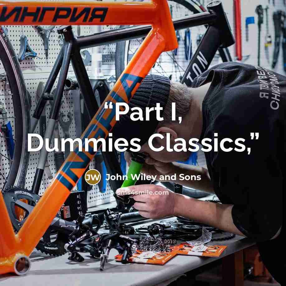 “Part I, Dummies Classics,” quote by John Wiley and Sons