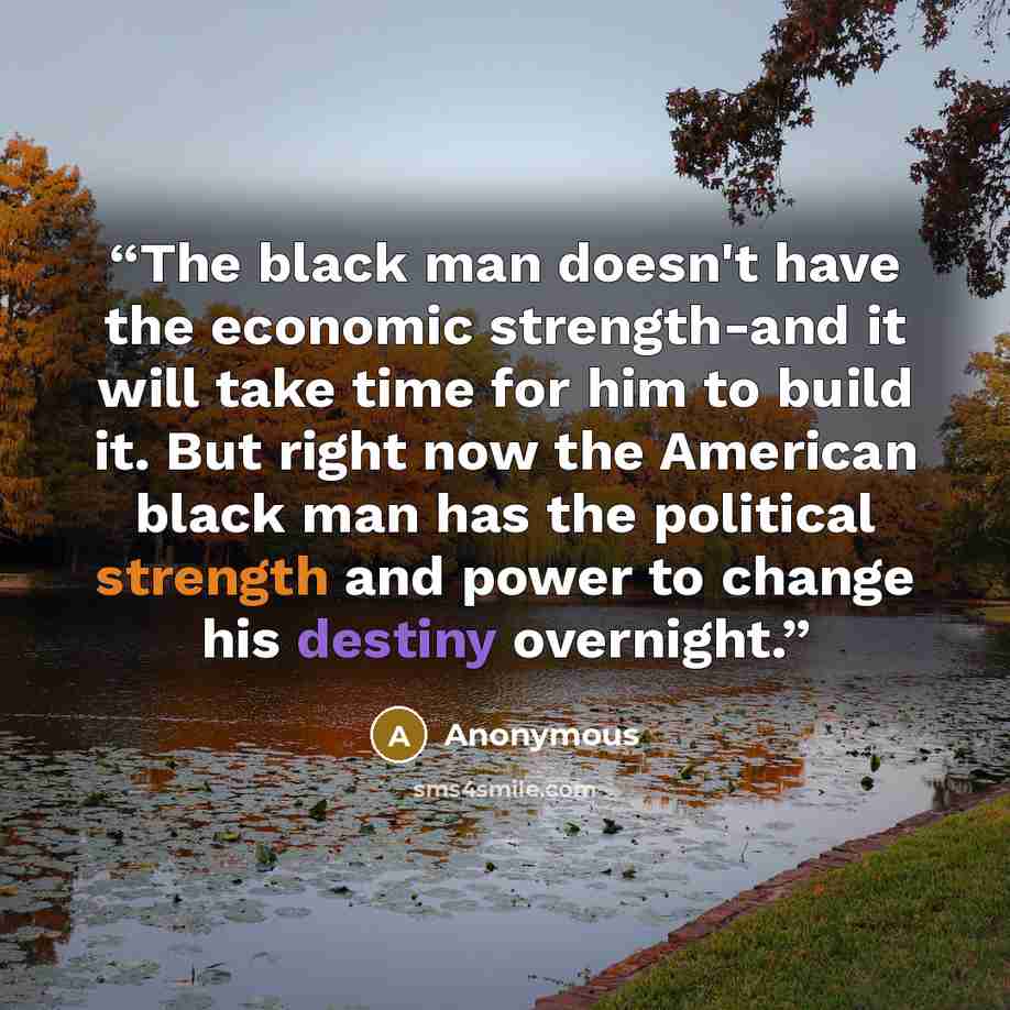 “The black man doesn't have the economic strength-and it will take time for him to build it. But right now the American black man has the political strength and power to change his destiny overnight.” quote by Anonymous