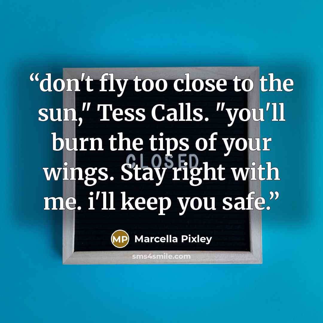 “don't fly too close to the sun," Tess Calls. "you'll burn the tips of your wings. Stay right with me. i'll keep you safe.” quote by Marcella Pixley