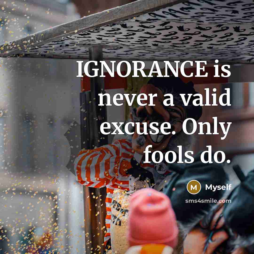 “IGNORANCE is never a valid excuse. Only fools do.” quote by Myself