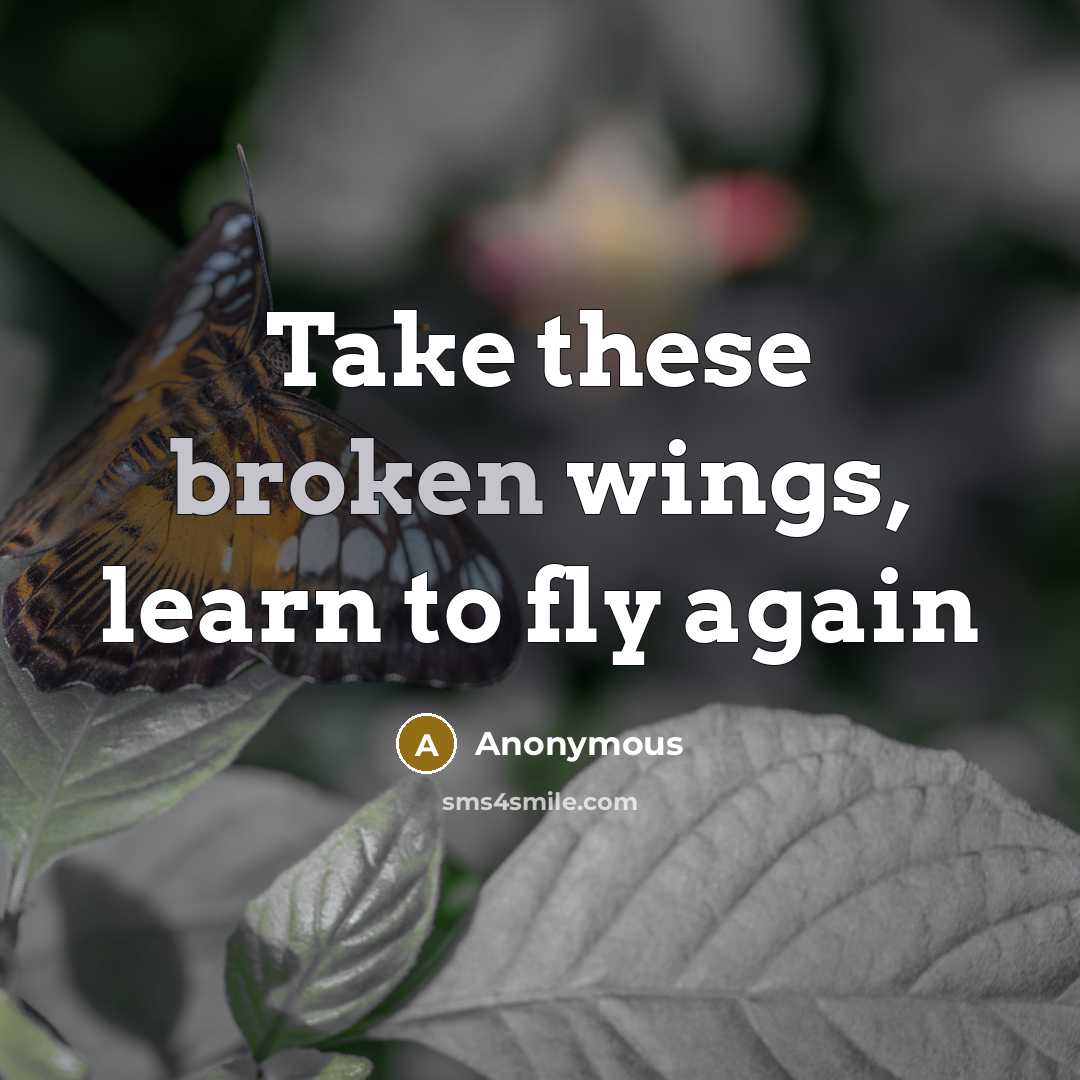 “Take these broken wings, learn to fly again” quote by Anonymous