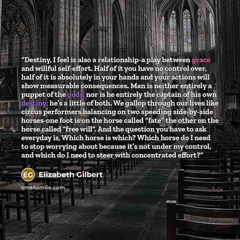 “Destiny, I feel is also a relationship-a play between grace and willful self-effort. Half of it you have no control over, half of it is absolutely in your hands and your actions will show measurable consequences. Man is neither entirely a puppet of the gods, nor is he entirely the captain of his…” quote by Elizabeth Gilbert