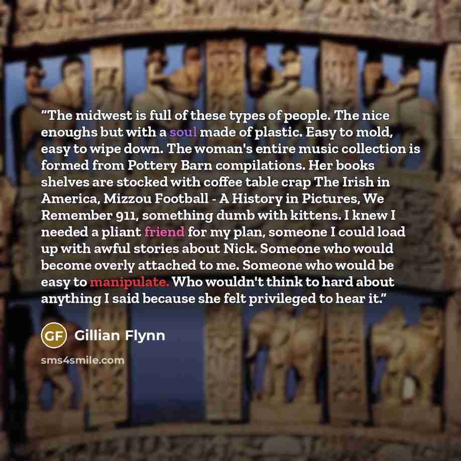 “The midwest is full of these types of people. The nice enoughs but with a soul made of plastic. Easy to mold, easy to wipe down. The woman's entire music collection is formed from Pottery Barn compilations. Her books shelves are stocked with coffee table crap The Irish in America, Mizzou Football…” quote by Gillian Flynn