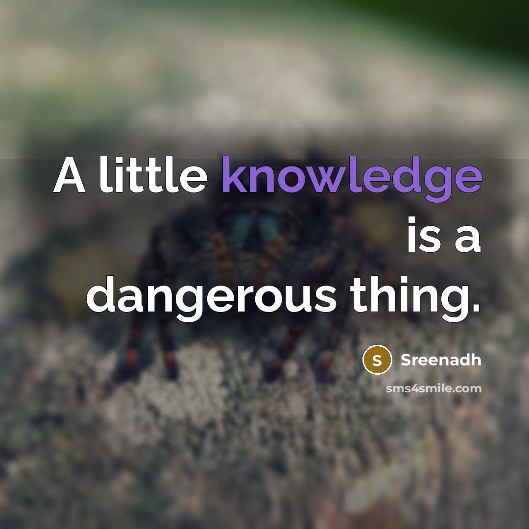 “A little knowledge is a dangerous thing.” quote by Sreenadh