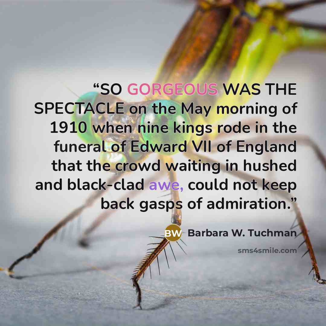 “SO GORGEOUS WAS THE SPECTACLE on the May morning of 1910 when nine kings rode in the funeral of Edward VII of England that the crowd waiting in hushed and black-clad awe, could not keep back gasps of admiration.” quote by Barbara W. Tuchman