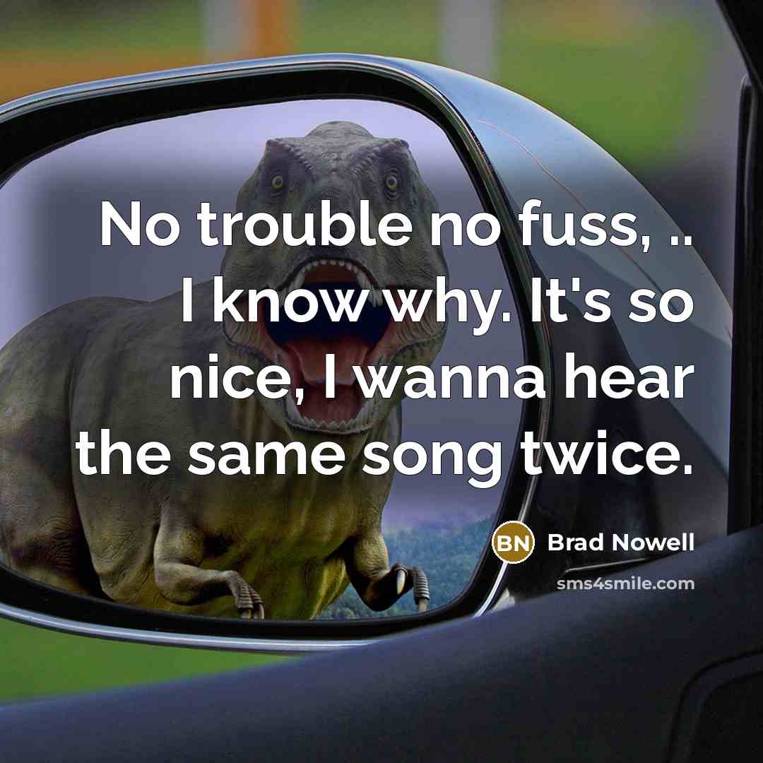 “No trouble no fuss, .. I know why. It's so nice, I wanna hear the same song twice.” quote by Brad Nowell