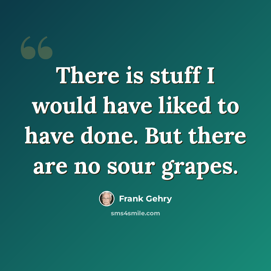“There is stuff I would have liked to have done. But there are no sour grapes.” quote by Frank Gehry