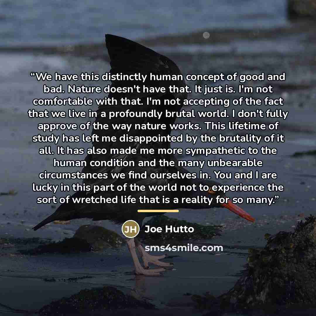 “We have this distinctly human concept of good and bad. Nature doesn't have that. It just is. I'm not comfortable with that. I'm not accepting of the fact that we live in a profoundly brutal world. I don't fully approve of the way nature works. This lifetime of study has left me disappointed by the…” quote by Joe Hutto