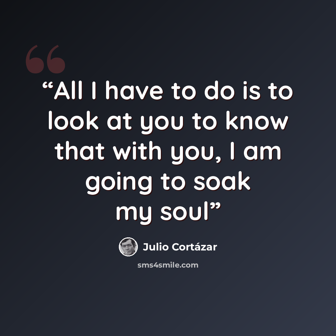 “All I have to do is to look at you to know that with you, I am going to soak my soul” quote by Julio Cortázar
