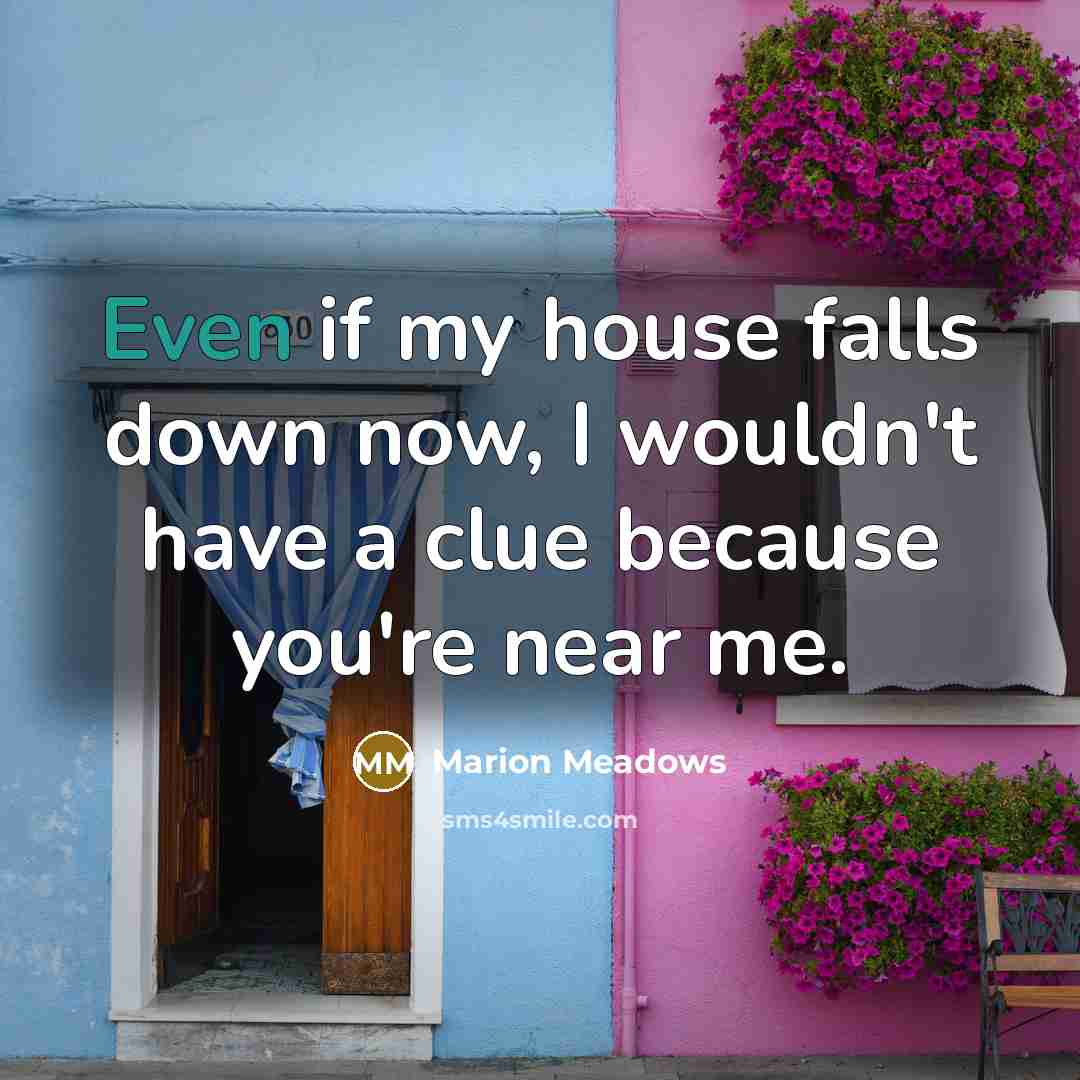 “Even if my house falls down now, I wouldn't have a clue because you're near me.” quote by Marion Meadows