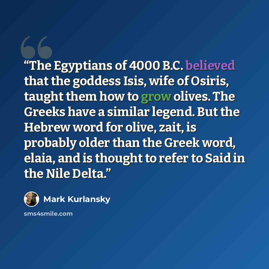 “The Egyptians of 4000 B.C. believed that the goddess Isis, wife of Osiris, taught them how to grow olives. The Greeks have a similar legend. But the Hebrew word for olive, zait, is probably older than the Greek word, elaia, and is thought to refer to Said in the Nile Delta.” quote by Mark Kurlansky