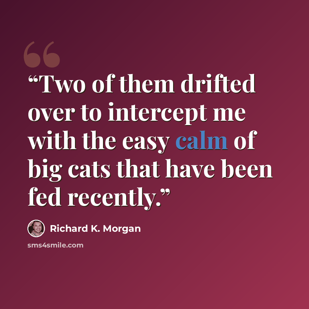 “Two of them drifted over to intercept me with the easy calm of big cats that have been fed recently.” quote by Richard K. Morgan