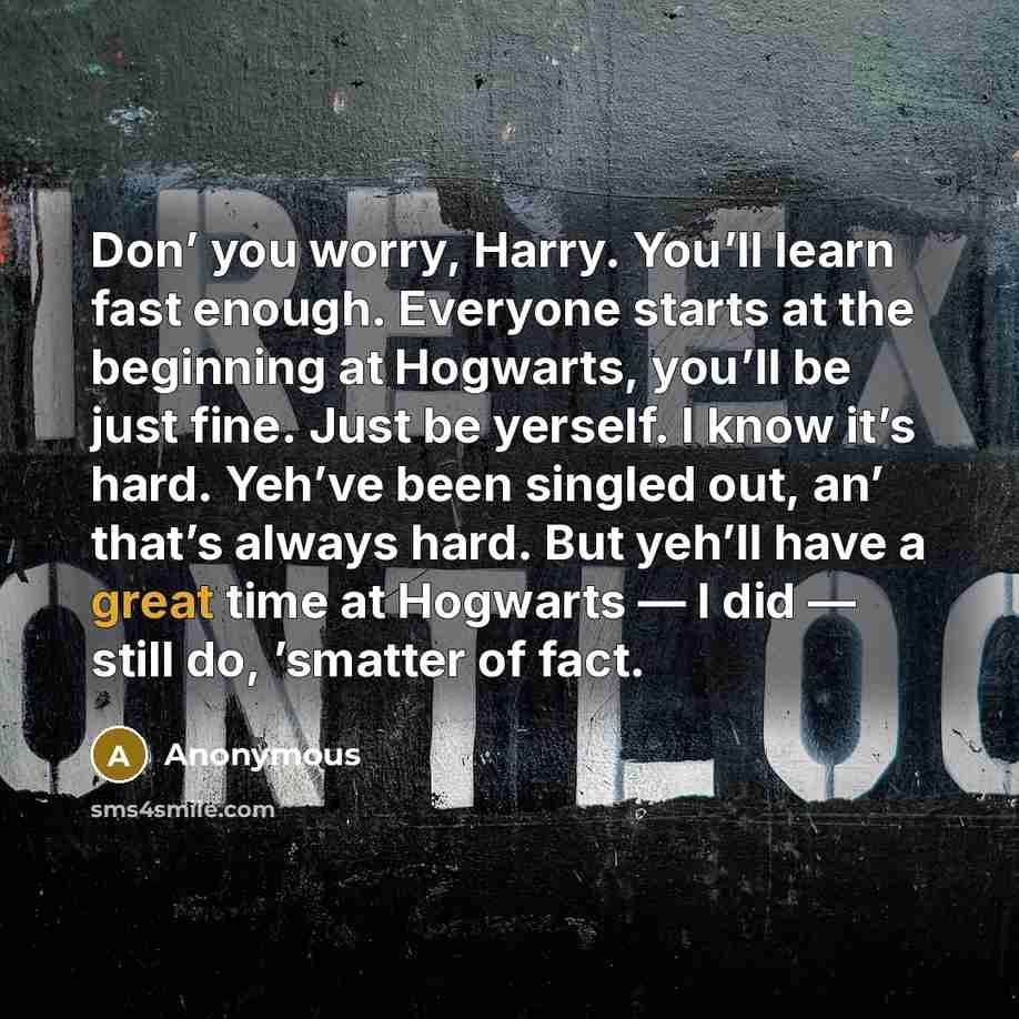 “Don’ you worry, Harry. You’ll learn fast enough. Everyone starts at the beginning at Hogwarts, you’ll be just fine. Just be yerself. I know it’s hard. Yeh’ve been singled out, an’ that’s always hard. But yeh’ll have a great time at Hogwarts — I did — still do, ’smatter of fact.” quote by Anonymous