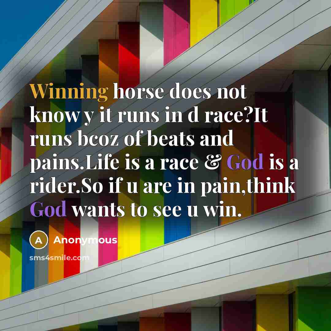 “Winning horse does not know y it runs in d race?It runs bcoz of beats and pains.Life is a race & God is a rider.So if u are in pain,think God wants to see u win.” quote by Anonymous