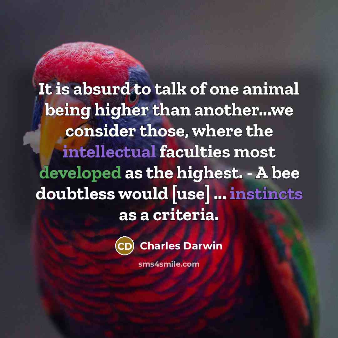 “It is absurd to talk of one animal being higher than another...we consider those, where the intellectual faculties most developed as the highest. - A bee doubtless would [use] ... instincts as a criteria.” quote by Charles Darwin