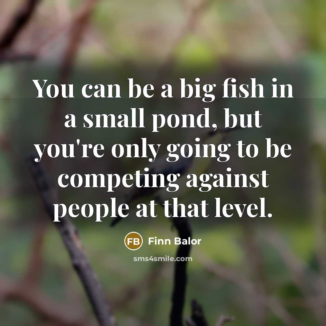 “You can be a big fish in a small pond, but you're only going to be competing against people at that level.” quote by Finn Balor