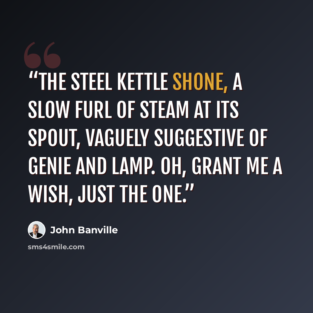 “The steel kettle shone, a slow furl of steam at its spout, vaguely suggestive of genie and lamp. Oh, grant me a wish, just the one.” quote by John Banville