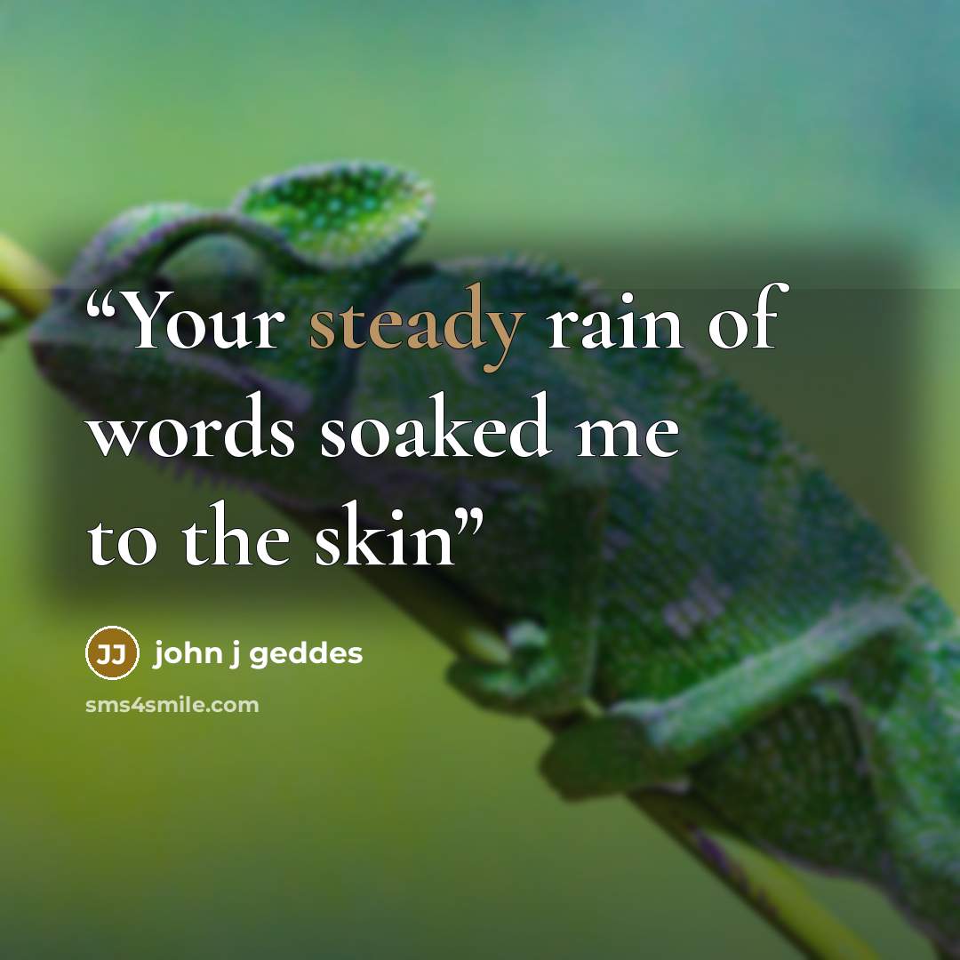 “Your steady rain of words soaked me to the skin” quote by john j geddes