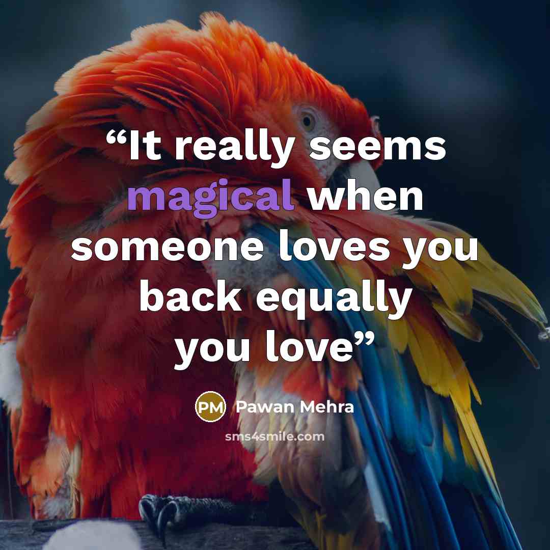 “It really seems magical when someone loves you back equally you love” quote by Pawan Mehra