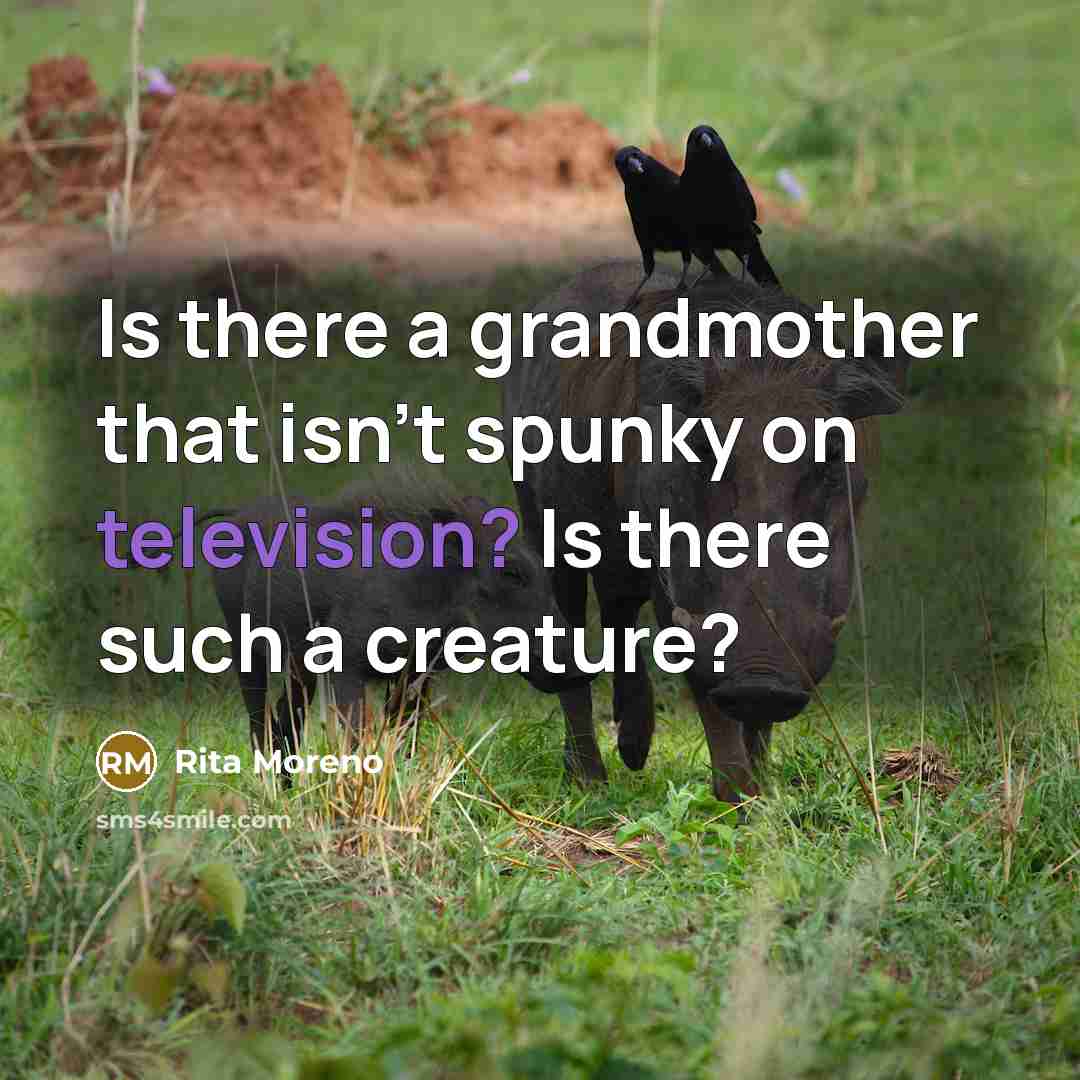 “Is there a grandmother that isn't spunky on television? Is there such a creature?” quote by Rita Moreno